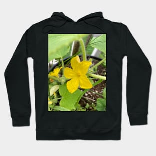 Cucumber Flowers Hoodie